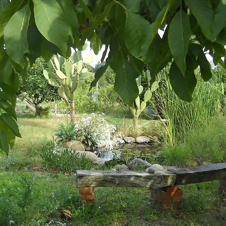 Tatil Evi Casa Del Gelso Mortelle Torre di Faro