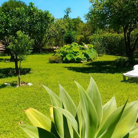 Tatil Evi Casa Del Gelso Mortelle *