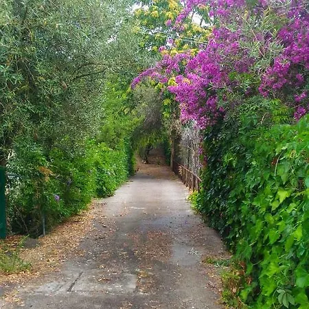 Casa Del Gelso Mortelle